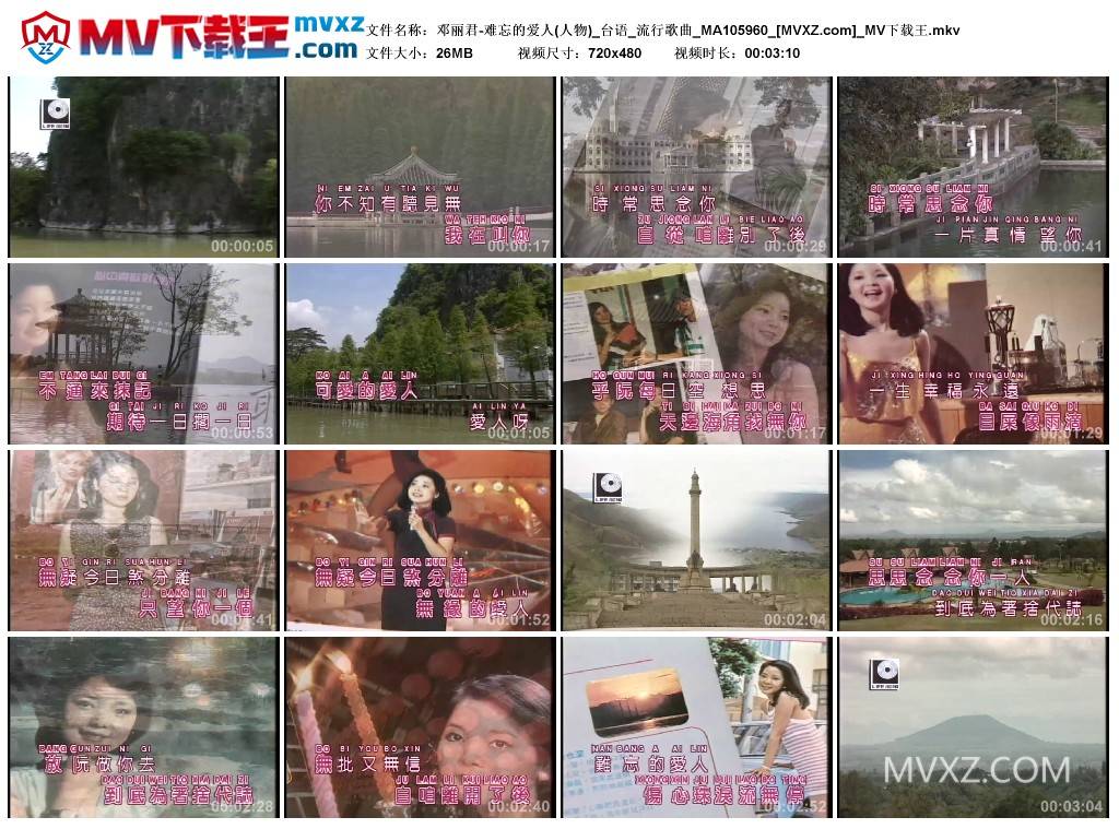 邓丽君-难忘的爱人(人物)_台语_流行歌曲_MA105960